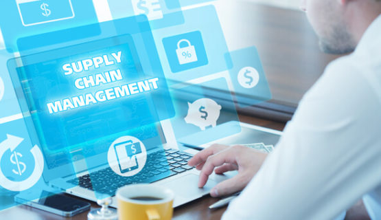 Developing-Robust-Supply-Chain-Software